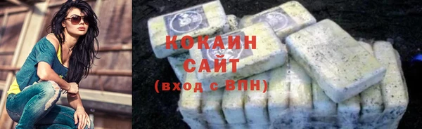 гашик Алзамай