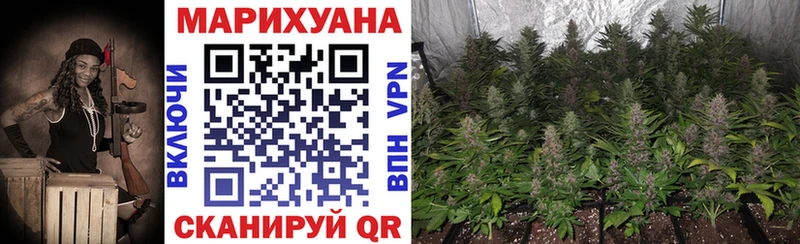 дарк нет наркотические препараты  что такое   Островной  Каннабис White Widow 